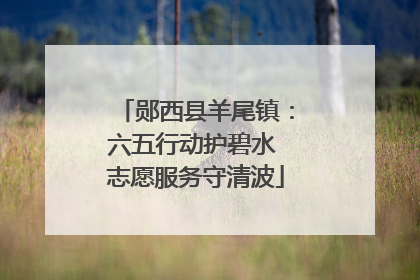 郧西县羊尾镇：六五行动护碧水 志愿服务守清波