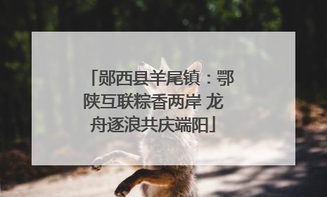 郧西县羊尾镇：鄂陕互联粽香两岸 龙舟逐浪共庆端阳