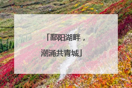 鄱阳湖畔，潮涌共青城