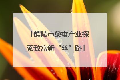 醴陵市桑蚕产业探索致富新“丝”路