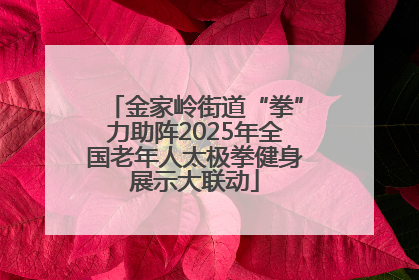 金家岭街道“拳”力助阵2025年全国老年人太极拳健身展示大联动