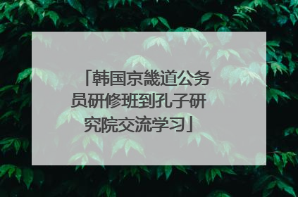 韩国京畿道公务员研修班到孔子研究院交流学习