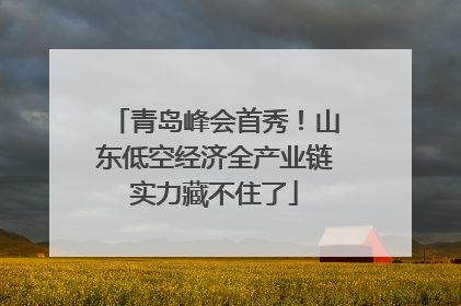 青岛峰会首秀！山东低空经济全产业链实力藏不住了