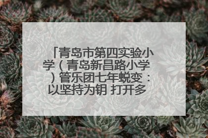 青岛市第四实验小学（青岛新昌路小学）管乐团七年蜕变：以坚持为钥 打开多元成长之门