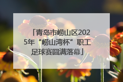 青岛市崂山区2025年“崂山湾杯”职工足球赛圆满落幕