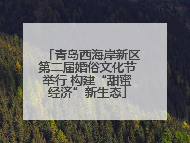 青岛西海岸新区第二届婚俗文化节举行 构建“甜蜜经济”新生态