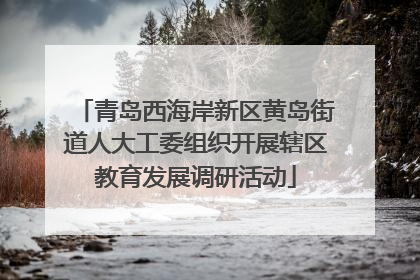 青岛西海岸新区黄岛街道人大工委组织开展辖区教育发展调研活动