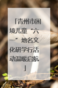 青州市困境儿童“六一”地名文化研学行活动温暖启航