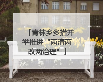 青林乡多措并举推进“两清两改两治理”