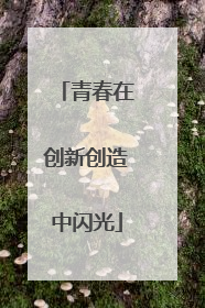 青春在创新创造中闪光