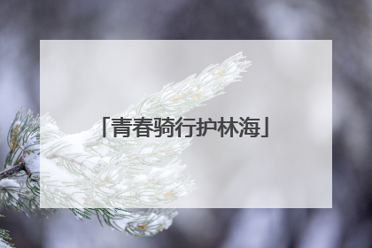 青春骑行护林海