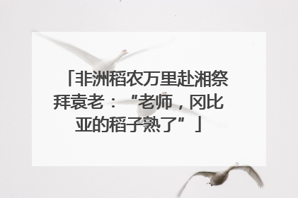 非洲稻农万里赴湘祭拜袁老：“老师，冈比亚的稻子熟了”