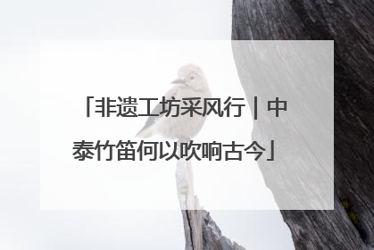 非遗工坊采风行｜中泰竹笛何以吹响古今