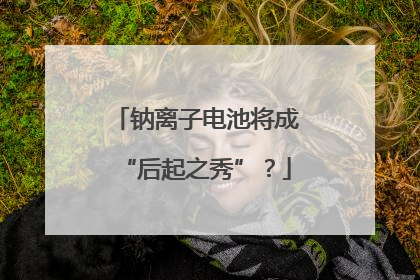钠离子电池将成“后起之秀”？