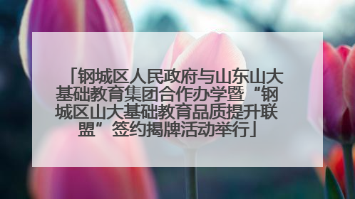 钢城区人民政府与山东山大基础教育集团合作办学暨“钢城区山大基础教育品质提升联盟”签约揭牌活动举行
