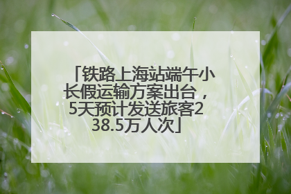 铁路上海站端午小长假运输方案出台，5天预计发送旅客238.5万人次