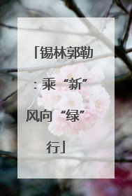 锡林郭勒：乘“新”风向“绿”行
