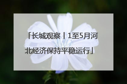 长城观察丨1至5月河北经济保持平稳运行
