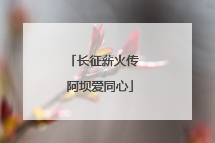 长征薪火传 阿坝爱同心