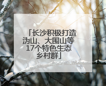 长沙积极打造沩山、大围山等17个特色生态乡村群