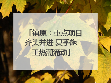 镇原：重点项目齐头并进 夏季施工热潮涌动