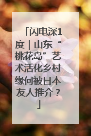 闪电深1度｜山东“桃花岛”艺术活化乡村缘何被日本友人推介？