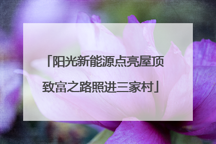 阳光新能源点亮屋顶 致富之路照进三家村