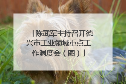 陈武军主持召开德兴市工业领域重点工作调度会（图）