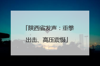 陕西省发声：重拳出击、高压震慑
