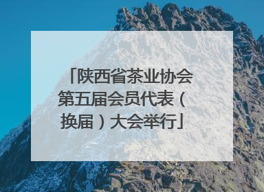 陕西省茶业协会第五届会员代表（换届）大会举行