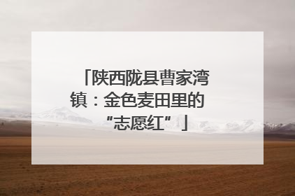 陕西陇县曹家湾镇：金色麦田里的“志愿红”