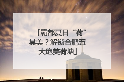 霸都夏日“荷”其美？解锁合肥五大绝美荷塘