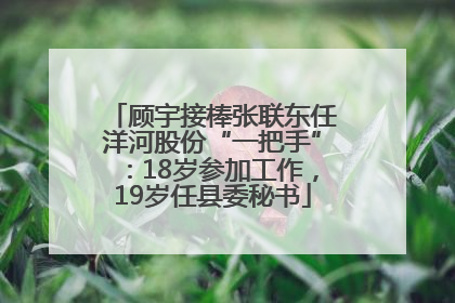 顾宇接棒张联东任洋河股份“一把手”：18岁参加工作，19岁任县委秘书
