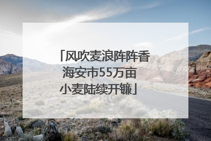 风吹麦浪阵阵香 海安市55万亩小麦陆续开镰