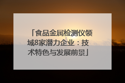 食品金属检测仪领域8家潜力企业：技术特色与发展前景
