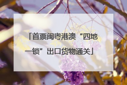 首票闽粤港澳“四地一锁”出口货物通关