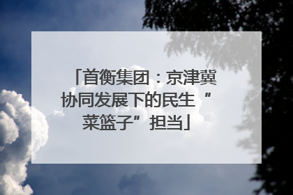 首衡集团：京津冀协同发展下的民生“菜篮子”担当