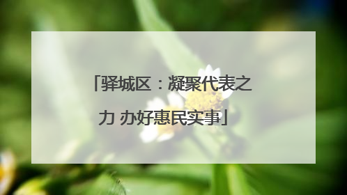 驿城区：凝聚代表之力 办好惠民实事