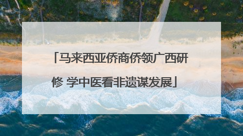 马来西亚侨商侨领广西研修 学中医看非遗谋发展