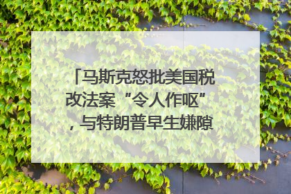 马斯克怒批美国税改法案“令人作呕”，与特朗普早生嫌隙？｜国际识局