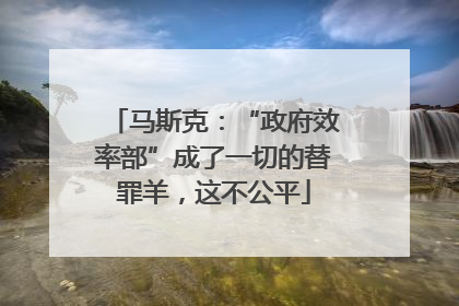 马斯克：“政府效率部”成了一切的替罪羊，这不公平