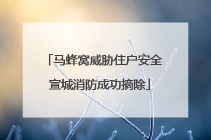 马蜂窝威胁住户安全 宣城消防成功摘除