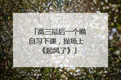 高三最后一个晚自习下课，操场上《起风了》