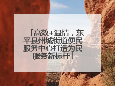高效+温情，东平县州城街道便民服务中心打造为民服务新标杆