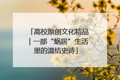 高校原创文化精品｜一部“蜗居”生活里的温情史诗