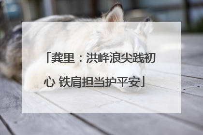 龚里：洪峰浪尖践初心 铁肩担当护平安