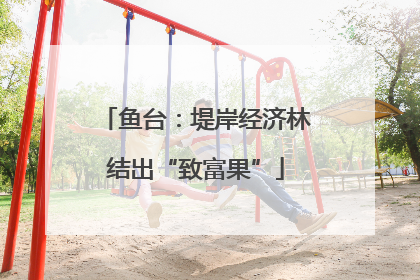 鱼台：堤岸经济林结出“致富果”