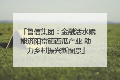 鲁信集团：金融活水赋能济阳富硒西瓜产业 助力乡村振兴新图景
