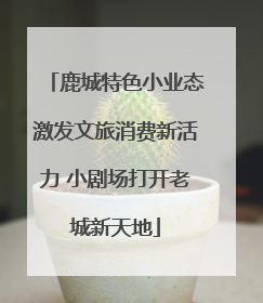 鹿城特色小业态激发文旅消费新活力 小剧场打开老城新天地