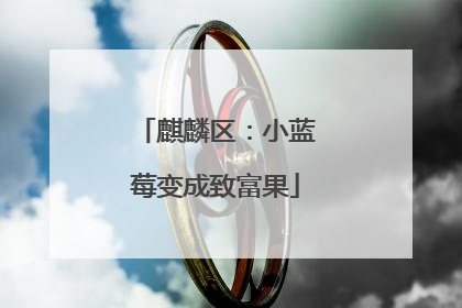 麒麟区：小蓝莓变成致富果